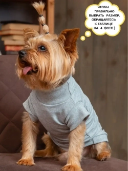 Футболка для собак мелких средних пород и кошек