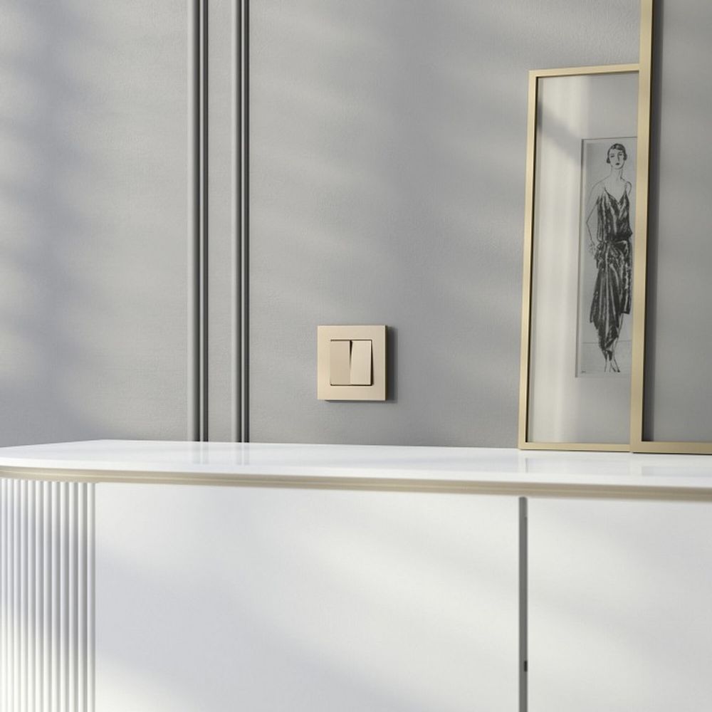 Рамка на 1 пост Werkel  W0012911