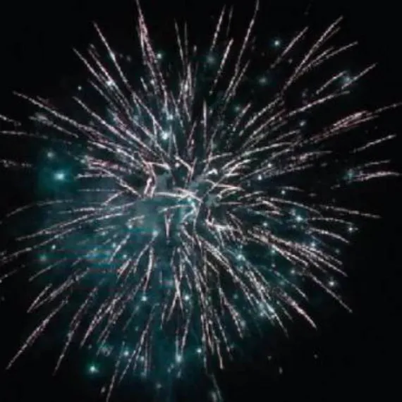 Праздник БУДЕТ! 1,2&quot; * 30 PLI1236