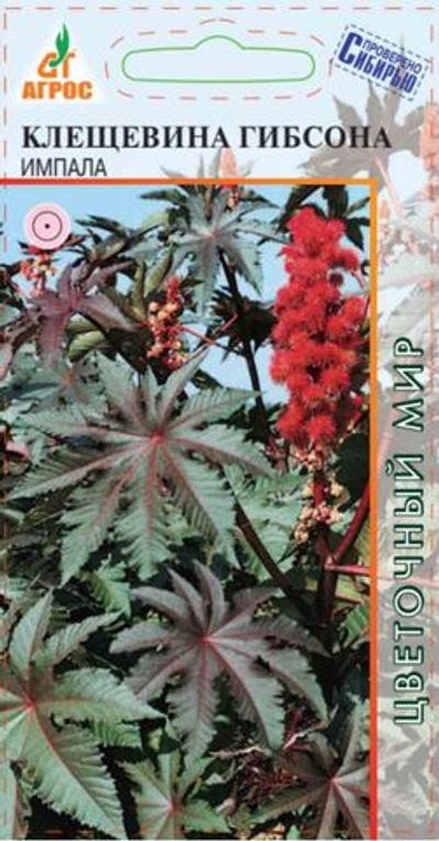 Клещевина Импала 4шт Германия (Агрос)