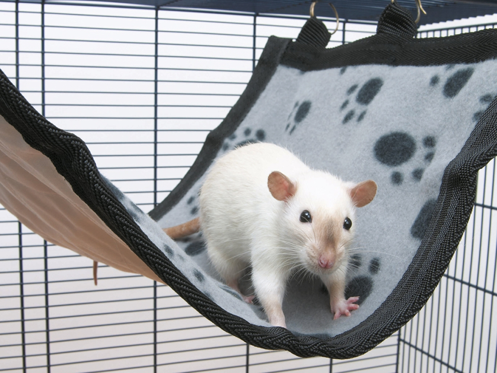 SAVIC Гамак для хорьков и крыс, 40*22,5 см