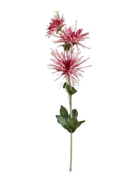 Хризантема 3 соцветия - Фуксия