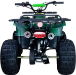Квадроцикл RAPTOR ATV 200U Premium ALL 200cc 4Т