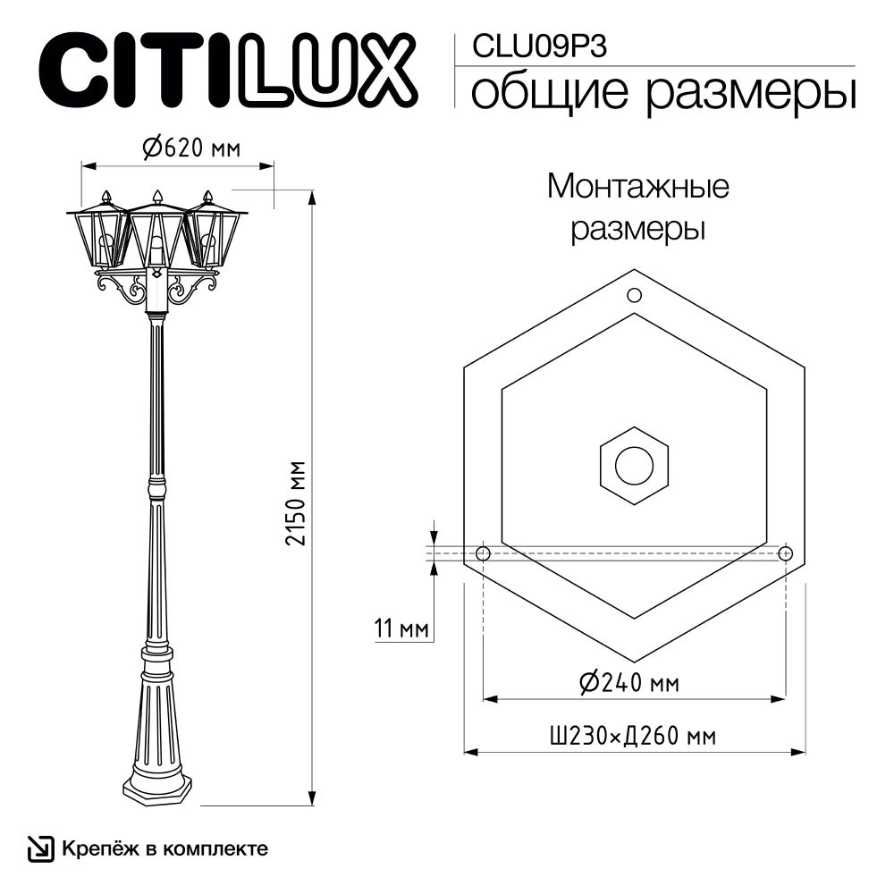 Citilux FORTS CLU09P3 Уличный парковый светильник