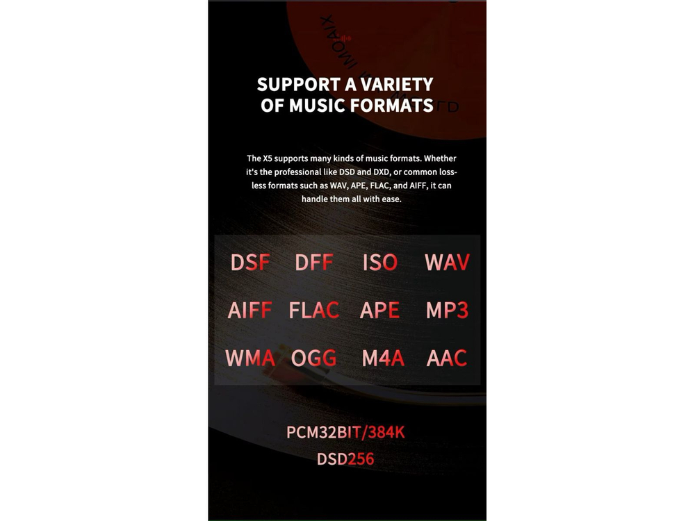 Портативный плеер xDuoo X5