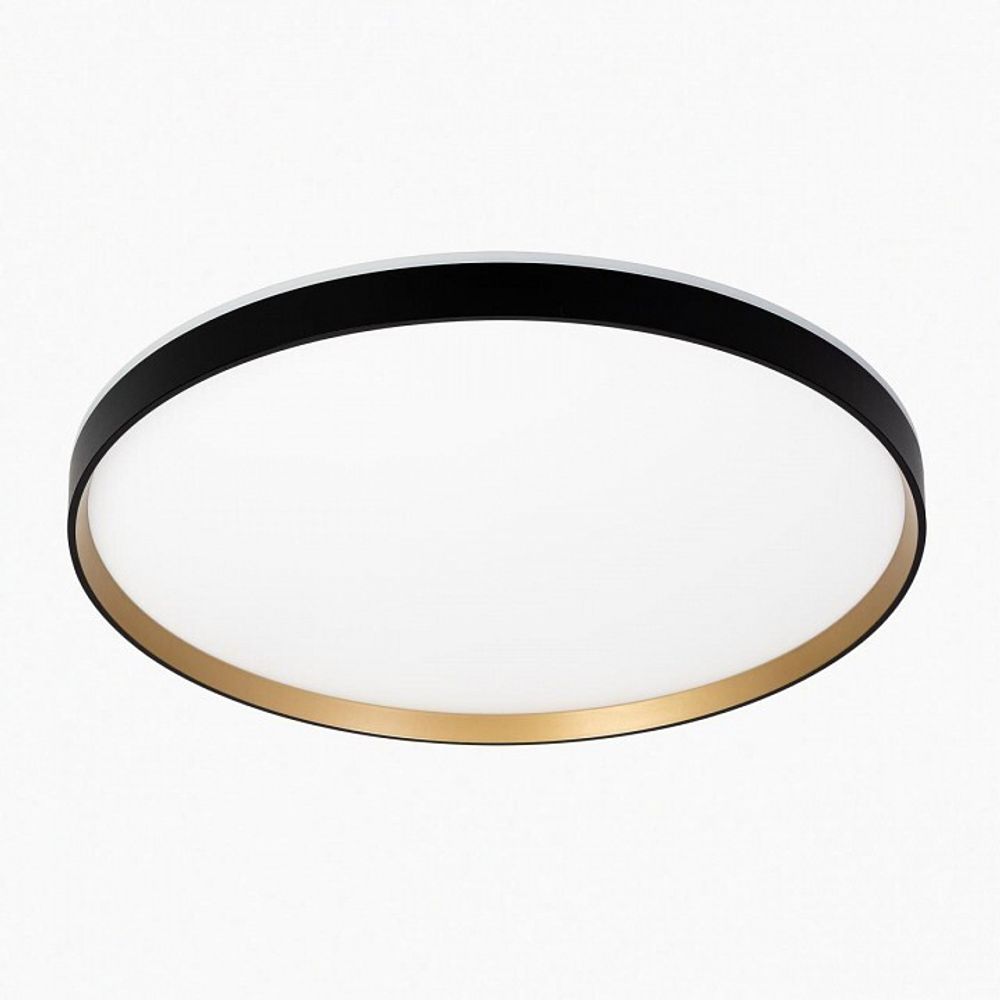 Накладной светильник Citilux ETALON CL750501R