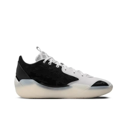 Мужские кроссовки Air Jordan 39 'Barons' FQ0213-010