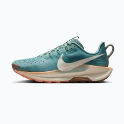 Женские Кроссовки для бега Nike Pegasus Trail 5 cannon/soft pearl/mink brown