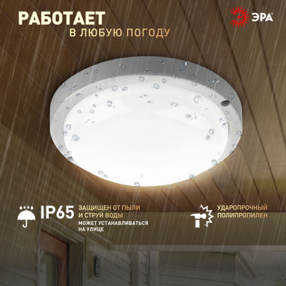 Светильник ЖКХ светодиодный ЭРА SPB-201-0-40K-015 IP65 15Вт 4000К D170 круг | Светильники для ЖКХ IP65