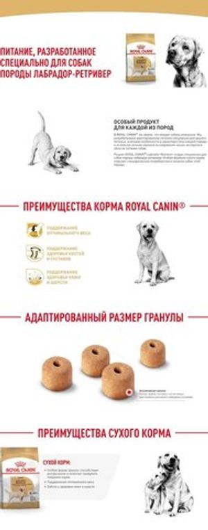 Развесной товар!Корм для взрослых собак породы лабрадор-ретривер, Royal Canin Labrador Retriever Adult (1кг)