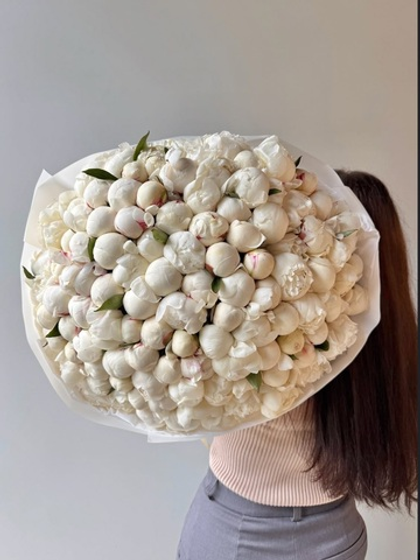 101 белый пион