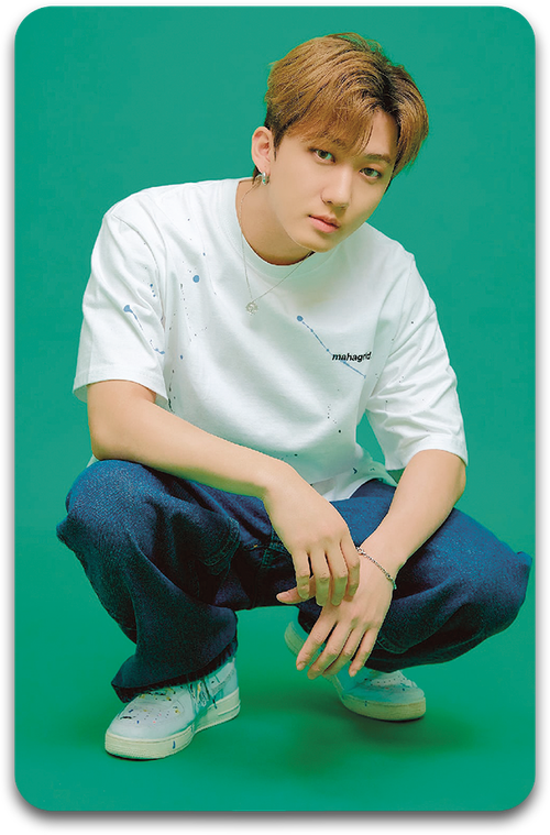 Карта / STRAY KIDS #3139