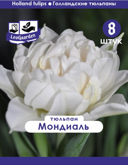 Тюльпан Луковица, Мондиаль, 8 шт