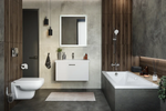 Душевой гарнитур Hansgrohe Croma Select E Vario 65 см