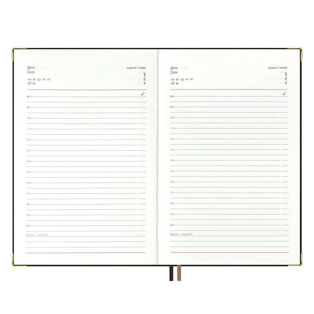 d0840323_b7b6_11ef_ba9b_d05099d5d12d_e8761987_84f2_11f0_bab7_d05099d5d12d