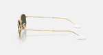 RAY-BAN RB3832 001/31