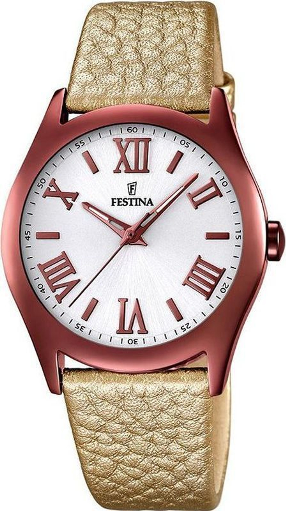 Часы Festina F16649/6