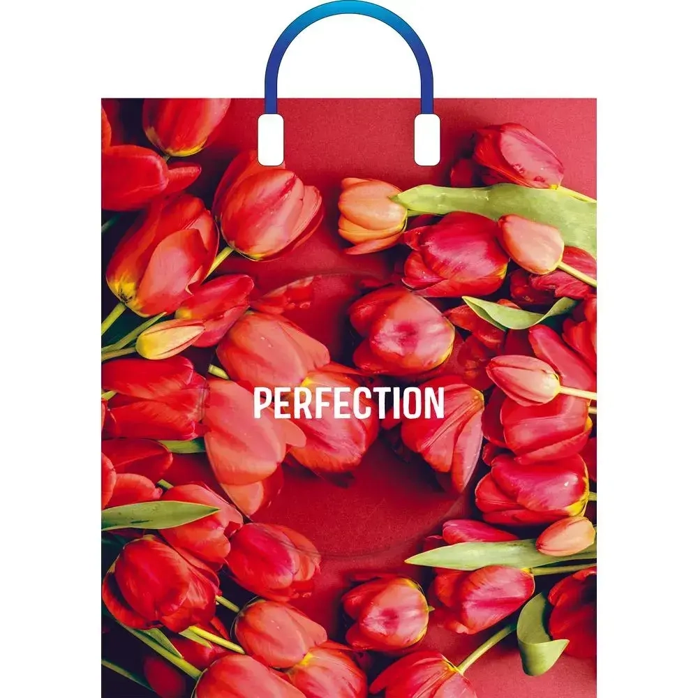 Пакет ПЭ с пластмассовыми ручками 38+3см(Совершенство) Глянцевы (комплект 5 шт)