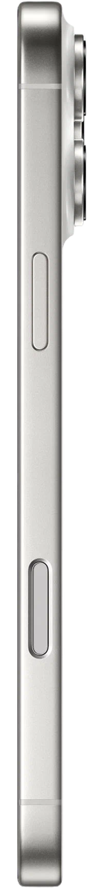 Смартфон Apple iPhone 16 Pro Max 256 ГБ, Dual: Только eSim, White Titanium (белый титановый)