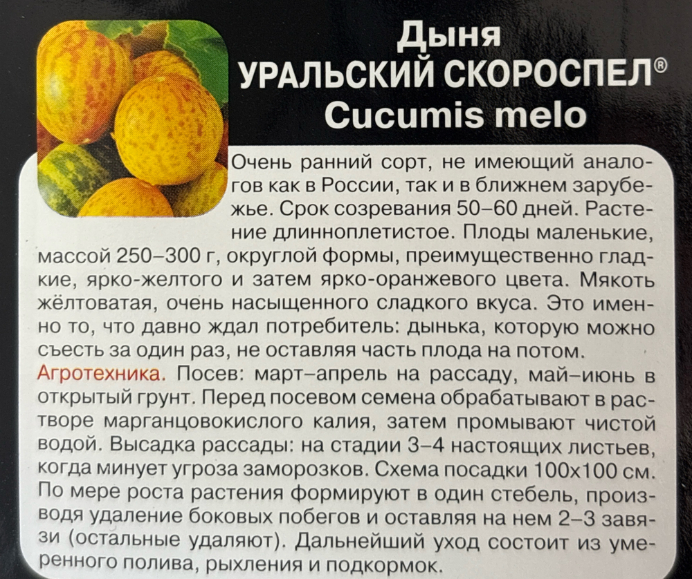 Дыня Уральский скороспел 10 шт (медовая мякоть) СМЯ-05