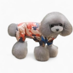 Дождевик «Wild Spirit»