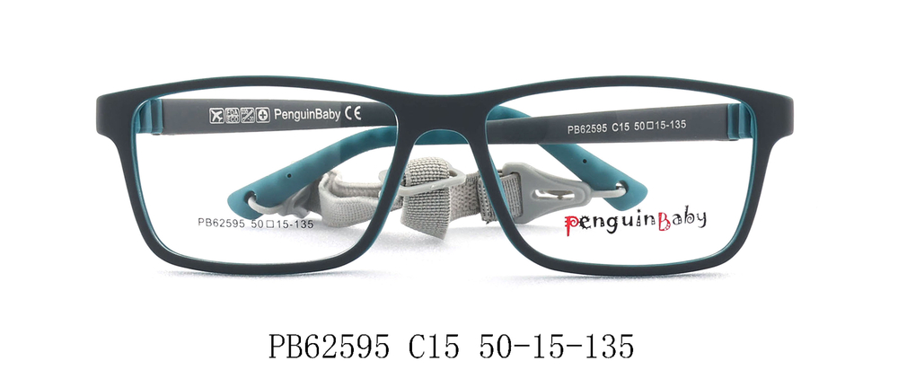 PB62595