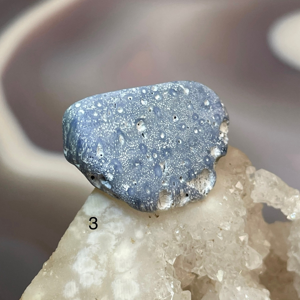 62224 Коралл голубой Галтовка 26-38мм--7