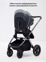 Коляска 2 в 1 Rant Falcon Therm