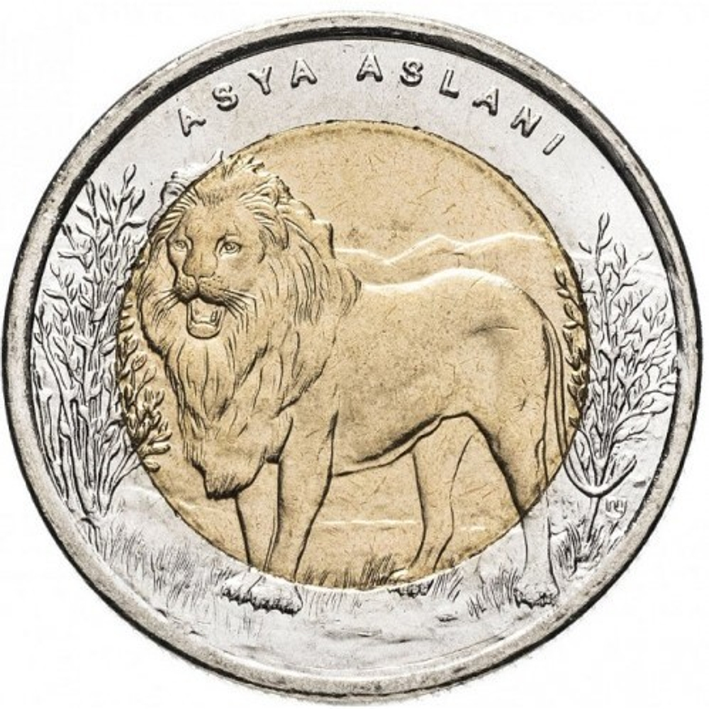 Азиатский лев