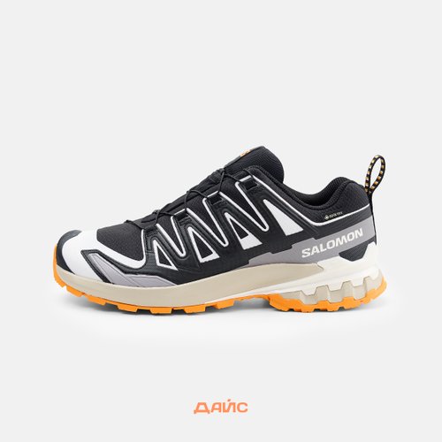 Кроссовки Salomon XA PRO 3D V9 GTX 