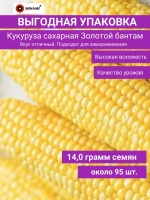Кукуруза сахарная Золотой бантам