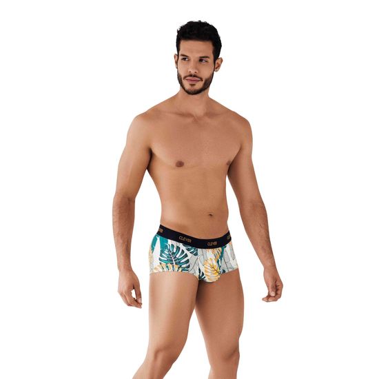 Мужские трусы хипсы белые с принтом Clever PURPOSES LATIN BOXER 079110