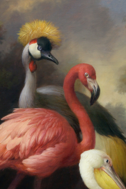 Какаду в гостях