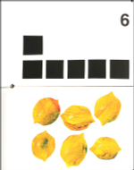 My Very First Book of Numbers  (board book)