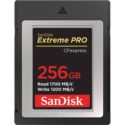 SanDisk 256ГБ Extreme PRO CFexpress Type B Карта памяти