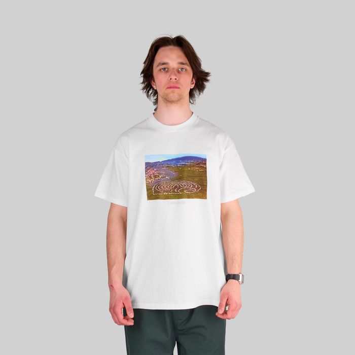 Футболка мужская Carhartt WIP Earth Magic артикул:I032879_white - купить в магазине Дайс