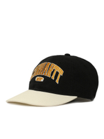 Кепка Lecture Cap