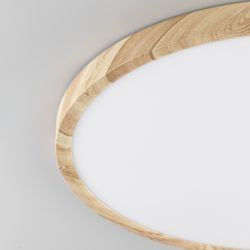 Citilux БейсикCL738322V LED Светильник накладной Клён