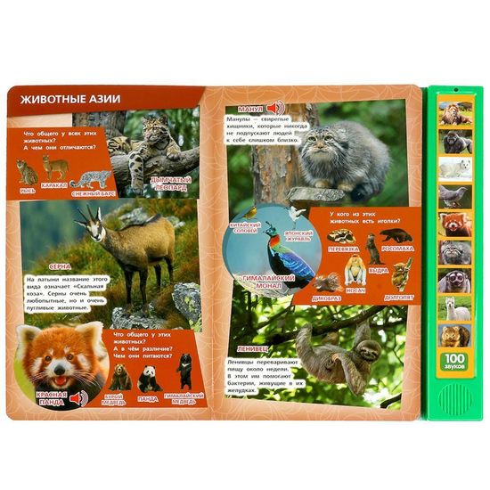 100 голосов животных (10 зв.кнопок, 100 звуков) 233х302мм 10 стр Умка