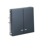 ARTGALLERY 2-клавишный ВЫКЛЮЧАТЕЛЬ с подсветкой, сх.5а, 10АХ, механизм, быстрозажим. клем., ГРИФЕЛЬ