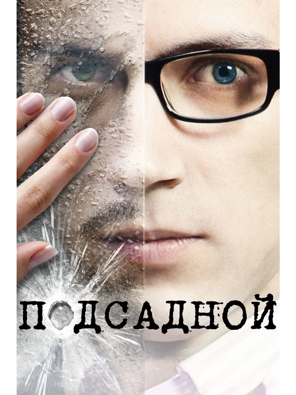Подсадной (2010) (DVD-R)