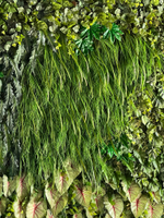 Осока листья 6 шт 65 см.