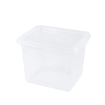 Ящик для хранения "Palm" 2,5л, 190х153х144мм (бесцветный)