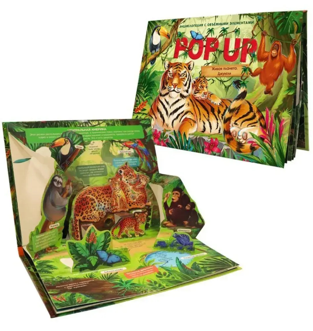 POP UP энциклопедия