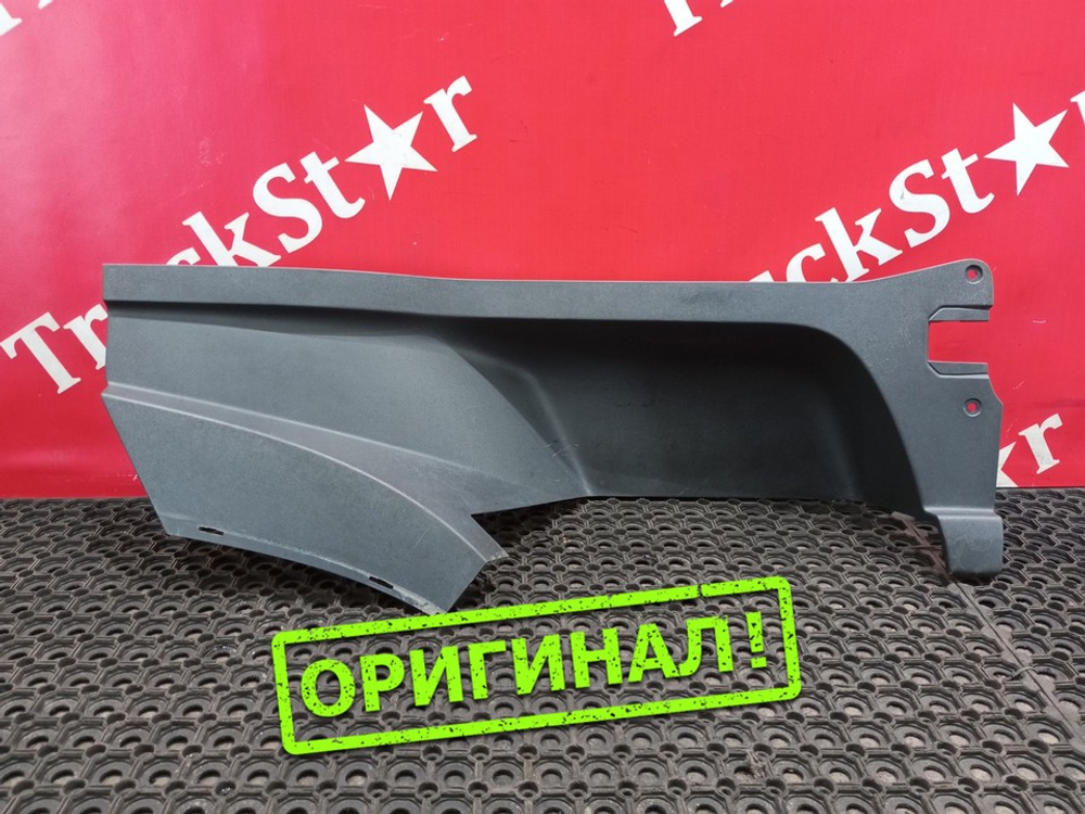 Накладка корпуса подножек правая 2016г.