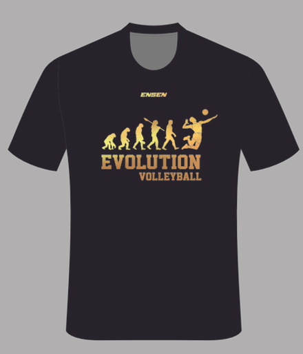 Футболка оригинальная VOLLEYBALL EVOLUTION