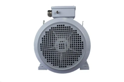 Электродвигатель ESQ PR 180 L4-SDN-Б1-S12-IE2 22/1500 IMB35