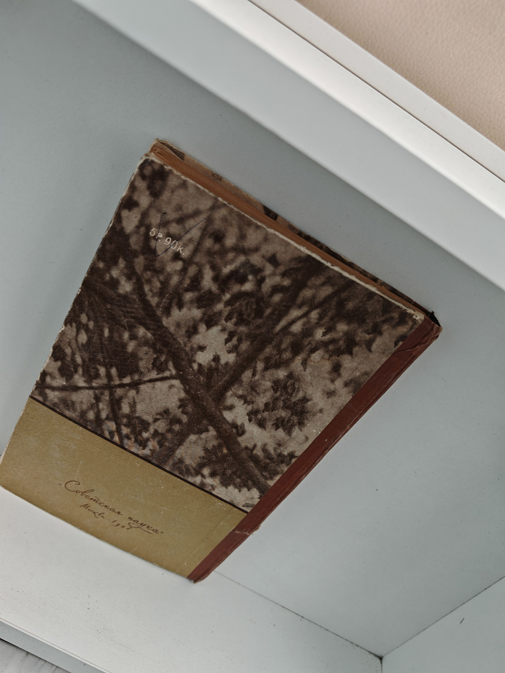 Натуралист-фотограф