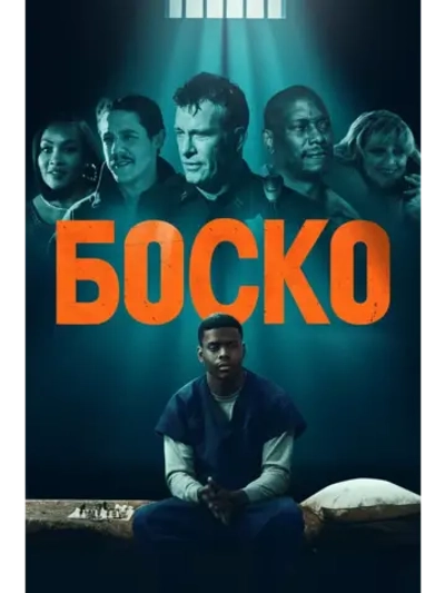 Боско (2024) (DVD-R)