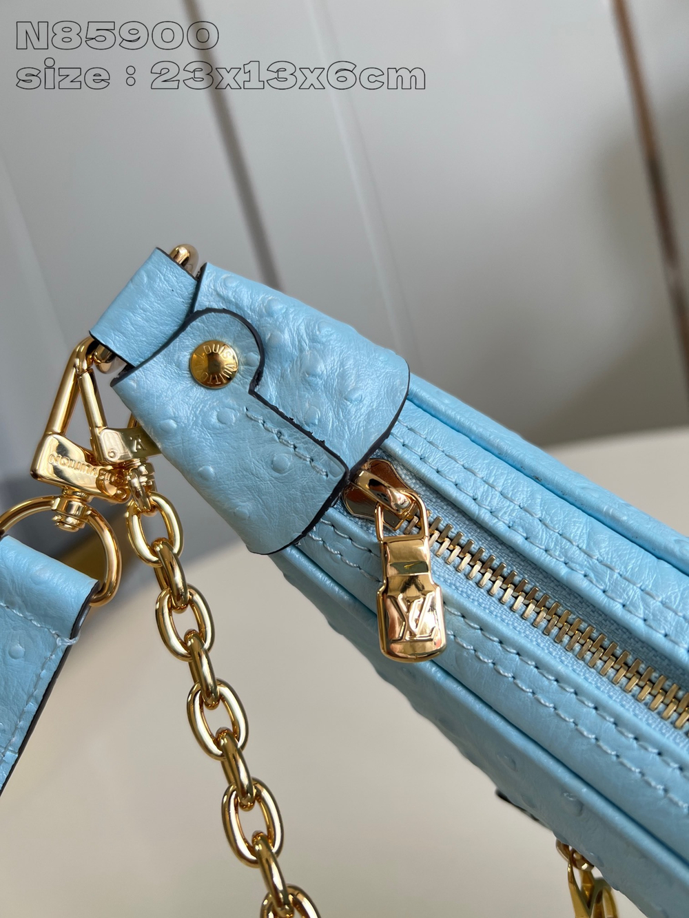 Louis Vuitton Loop Bag